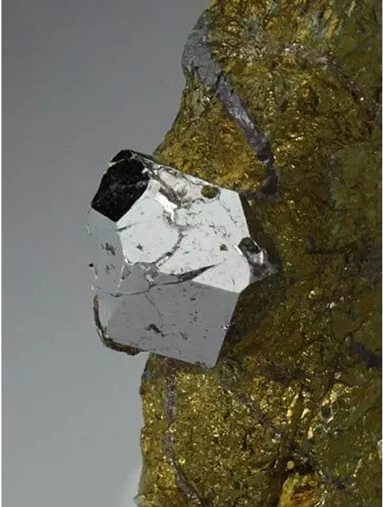 5371826e7a678f223eba506e1663ea95.png 18.png