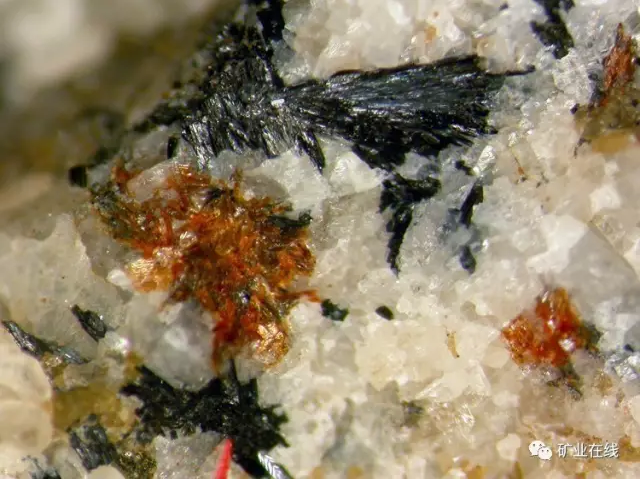 89ad9945bd8d1ee7d4138e4201f5dc8c.png 5.png