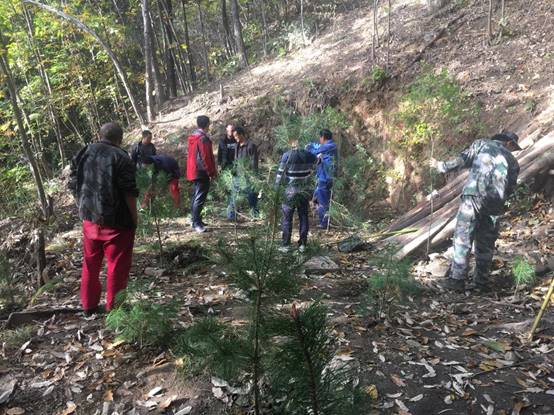 2a9c70633adadb632aa02f830aaef5fb.jpg image006.jpg